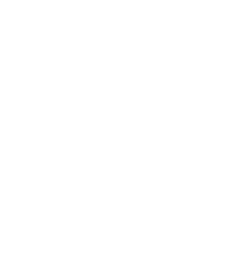 Puca Icon