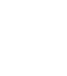 Chicken Icon