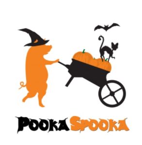 Newgrange Free tickets Hotel PookaSpooka