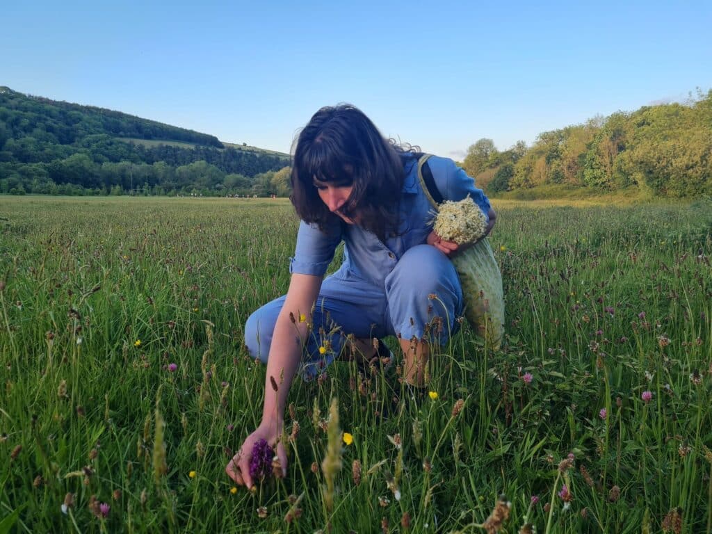 Foraging flowers in Cork (2) (1)