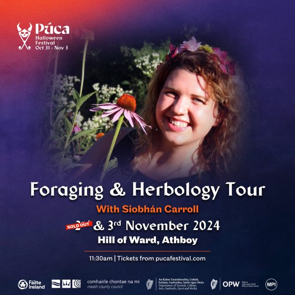 Foraging and Herbology Main Banner with Nov 2 Sold Out